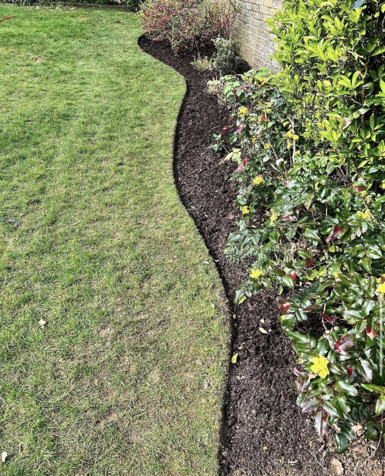 Kutting hedge — after
