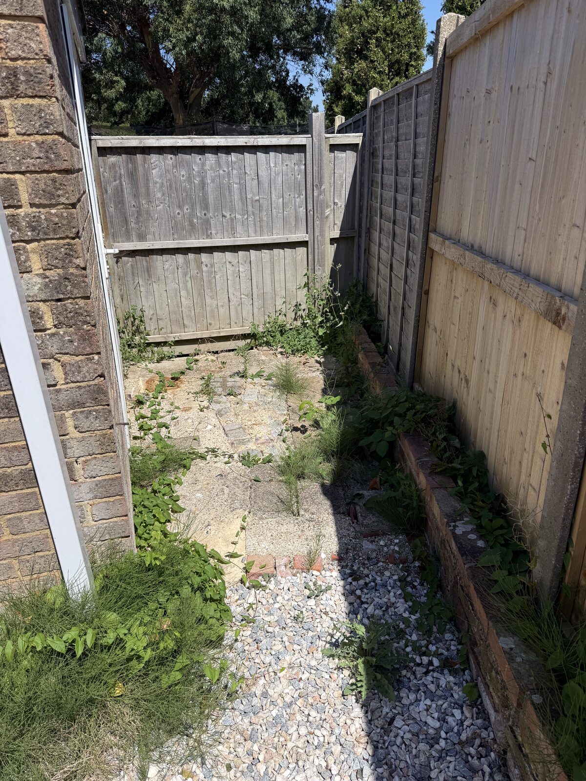 Kutting hedge — recent work