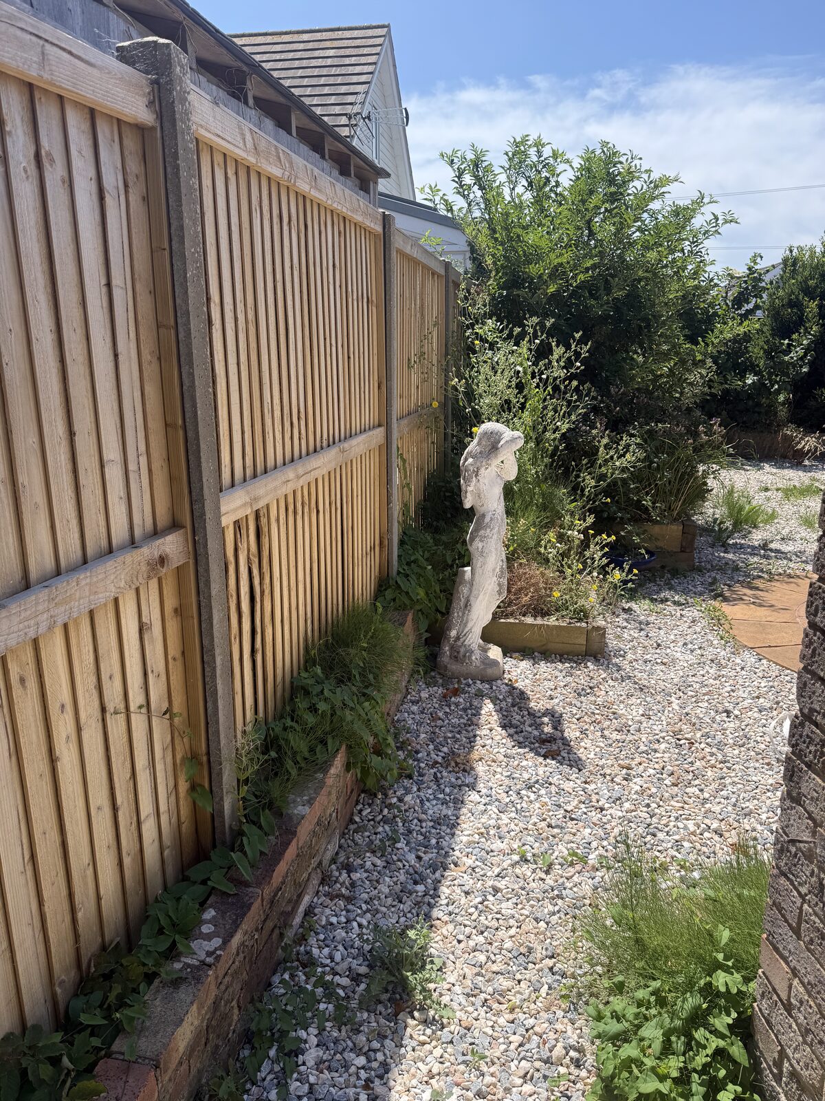 Kutting hedge — recent work